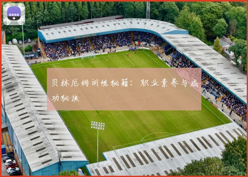 贝林厄姆训练秘籍：职业素养与成功秘诀